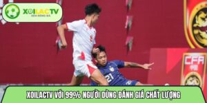 Xoilactvttbd.com với 99% người dùng đánh giá chất lượng